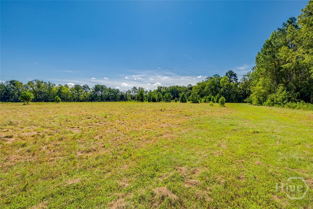 215 Lorenzo Hurst Road Springfield, GA 31329 - Photo 43 of 54