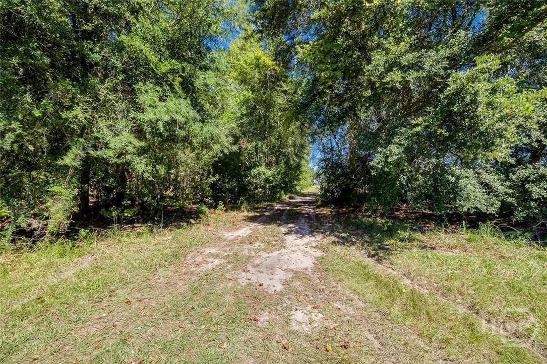 215 Lorenzo Hurst Road Springfield, GA 31329 - Photo 44 of 54