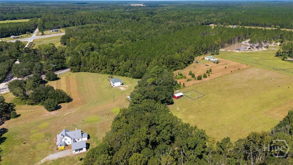 215 Lorenzo Hurst Road Springfield, GA 31329 - Photo 47 of 54