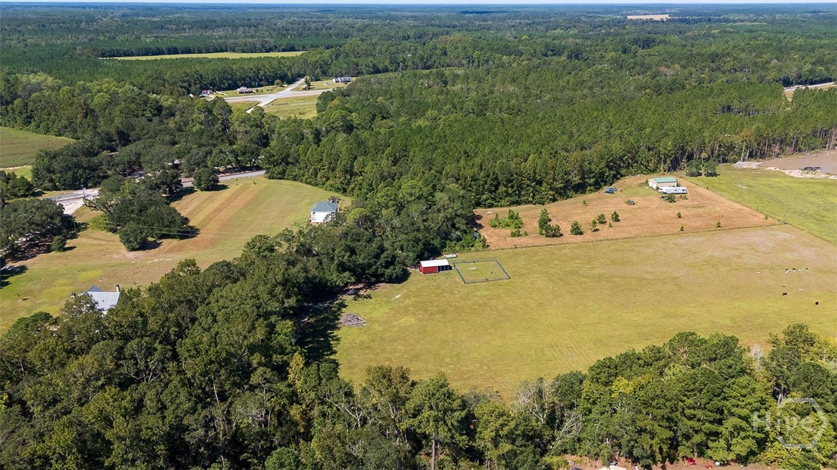 215 Lorenzo Hurst Road Springfield, GA 31329 - Photo 48 of 54