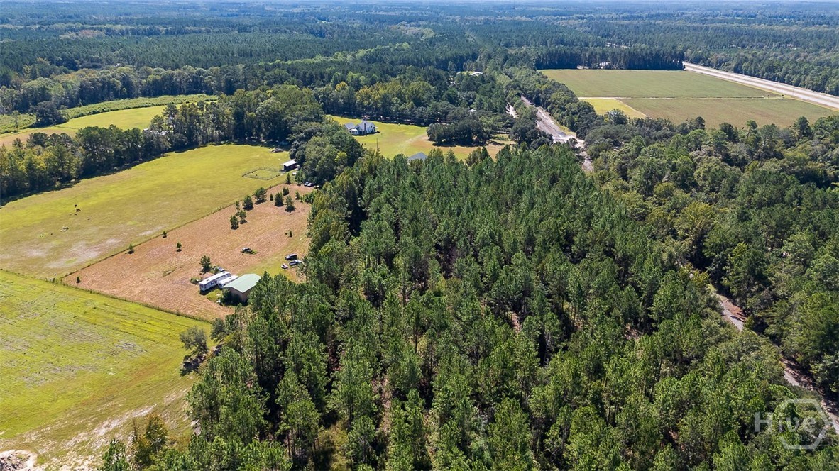 215 Lorenzo Hurst Road Springfield, GA 31329 - Photo 51 of 54