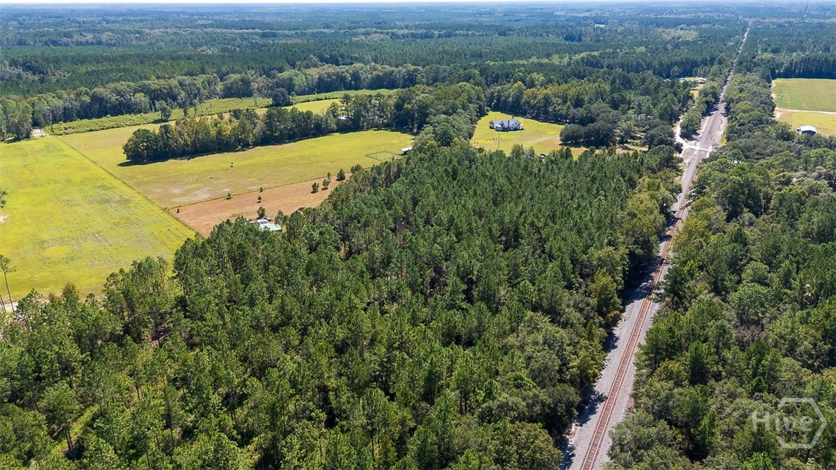 215 Lorenzo Hurst Road Springfield, GA 31329 - Photo 52 of 54