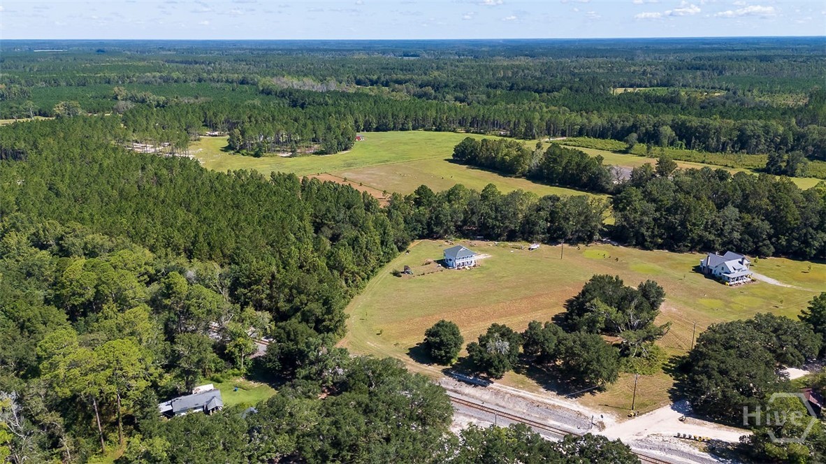 215 Lorenzo Hurst Road Springfield, GA 31329 - Photo 53 of 54