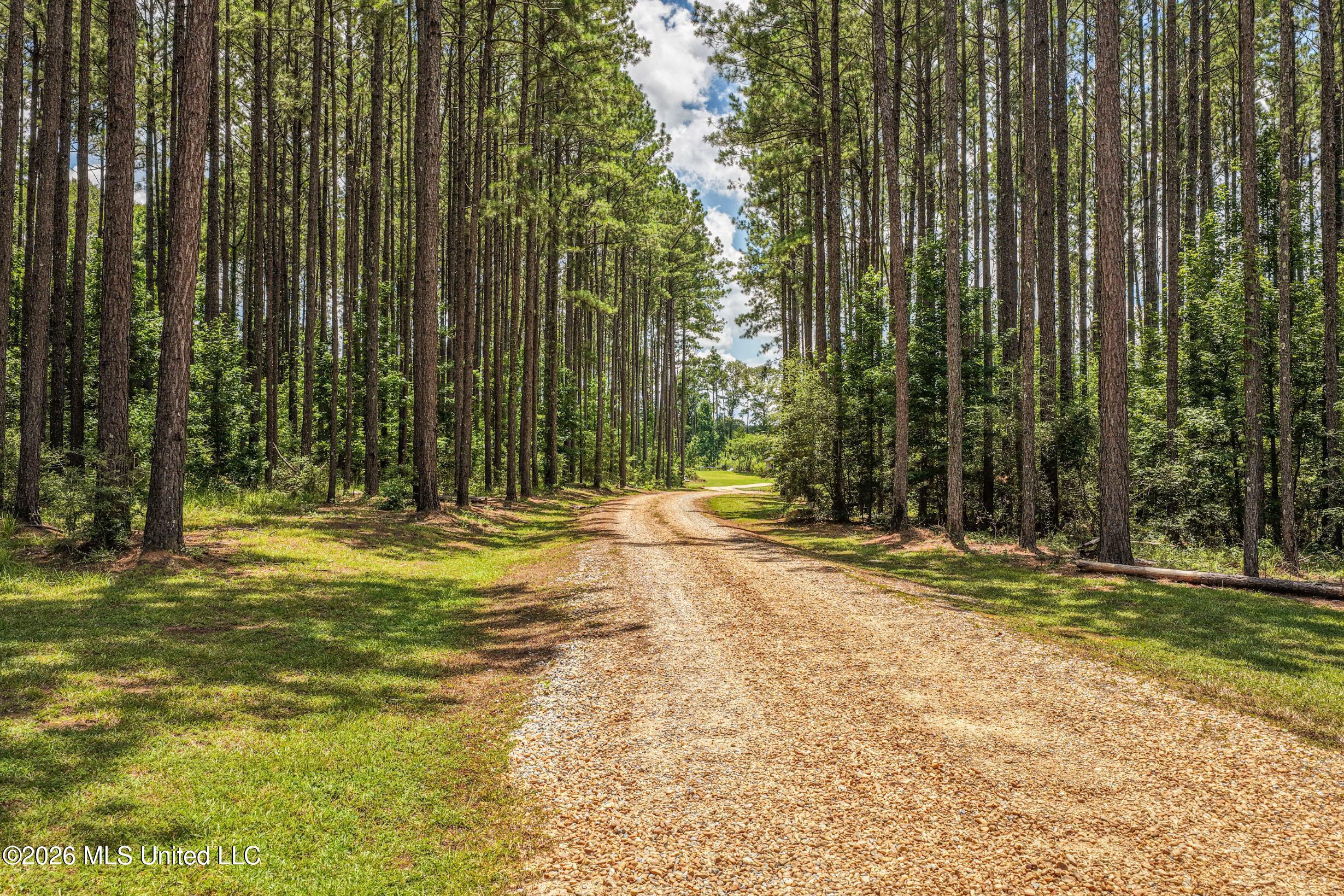 6929 Moak Road Summit, MS 39666 - Photo 36 of 52 DJI_20260708131428_0190_D