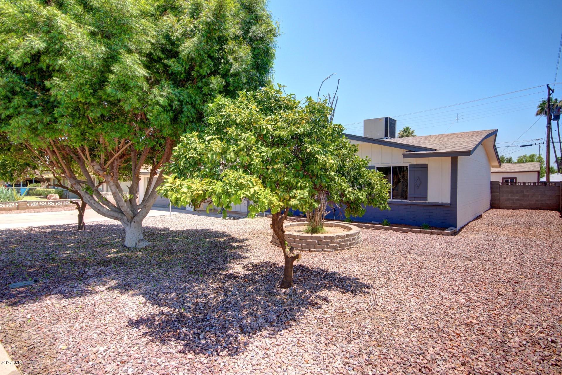 2335 West Rose Lane Phoenix, AZ 85015 - Photo 2 of 30 rose (2)