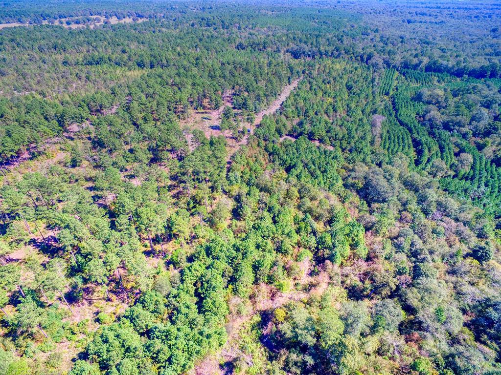 0 An County Road Palestine, TX 75801 - Photo 10 of 18