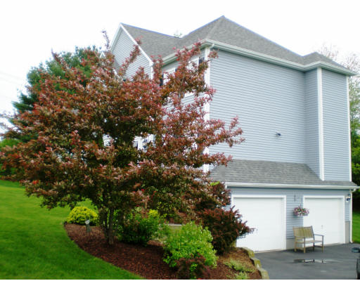 6 Pontiac Road Raynham, MA 02767 - Photo 23 of 30 Gallery Image 23