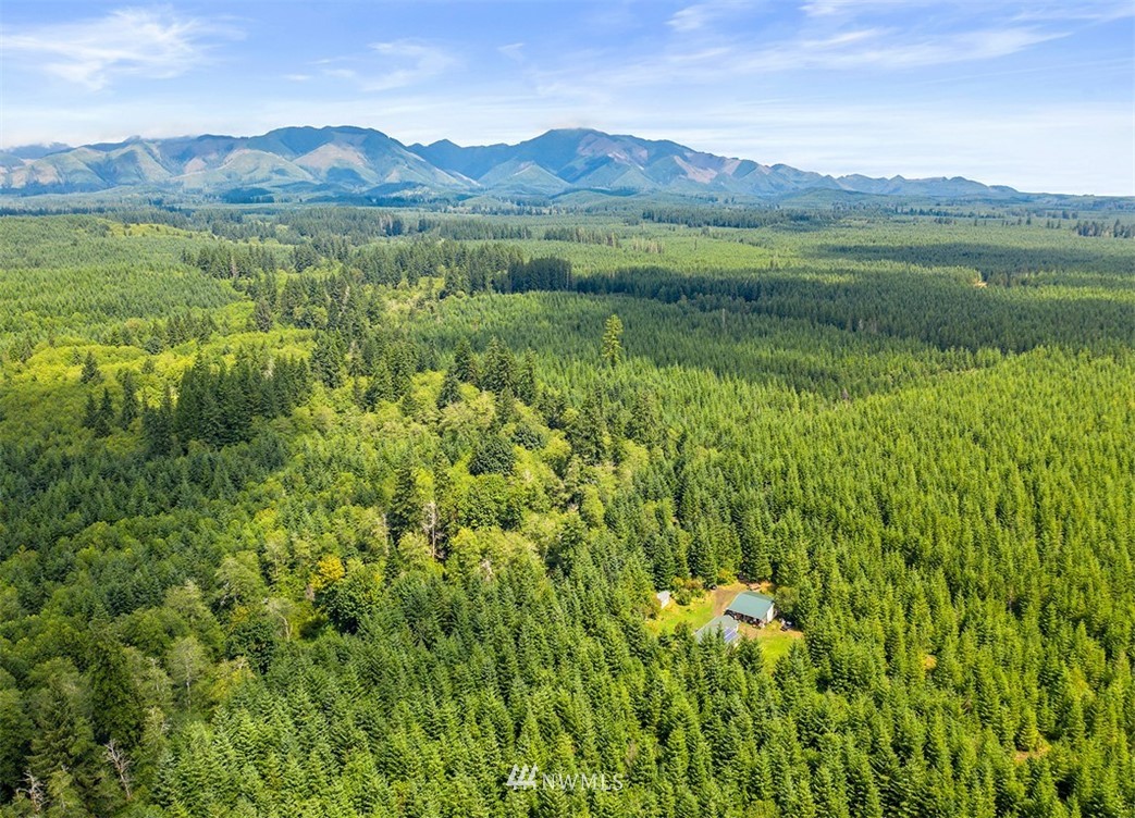 1203 West Ford Road Matlock, WA 98560 - Photo 1 of 1 Gallery Image 1