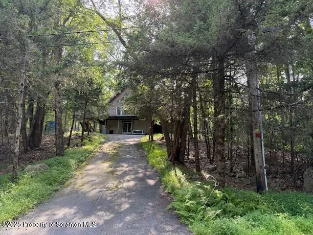a view of a backyard with potted plants and large trees