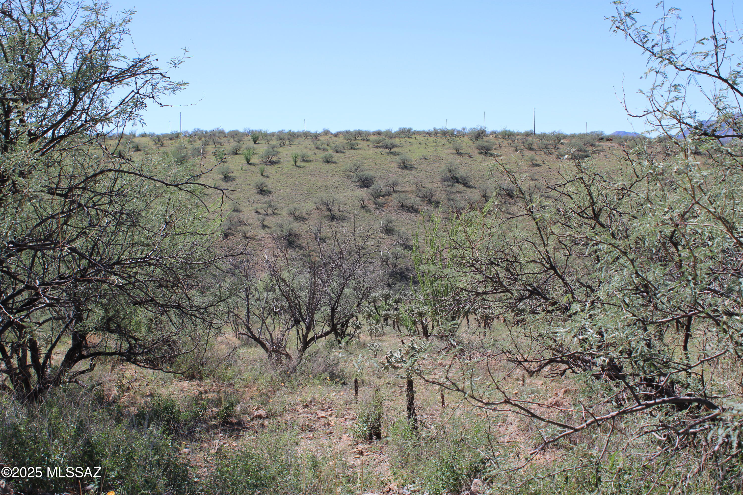 346 Anfibio Court, Unit 83 Rio Rico, AZ 85648 - Photo 3 of 14