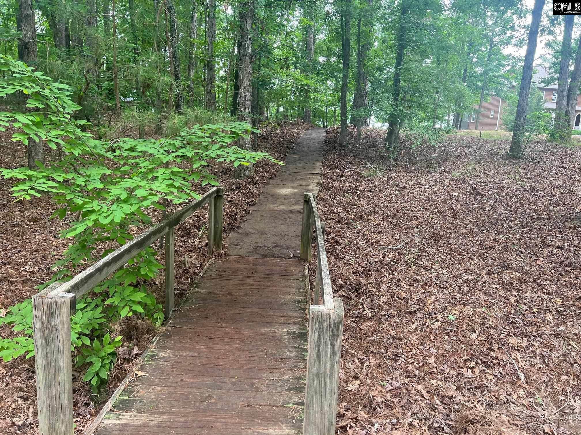 0 Saluda Bluff Road Batesburg, SC 29006 - Photo 4 of 6