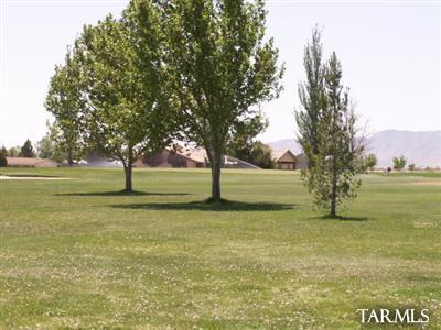 1 Dale Road, Unit GOLF LOT Pearce, AZ 85625 - Photo 1 of 12 Gallery Image 1