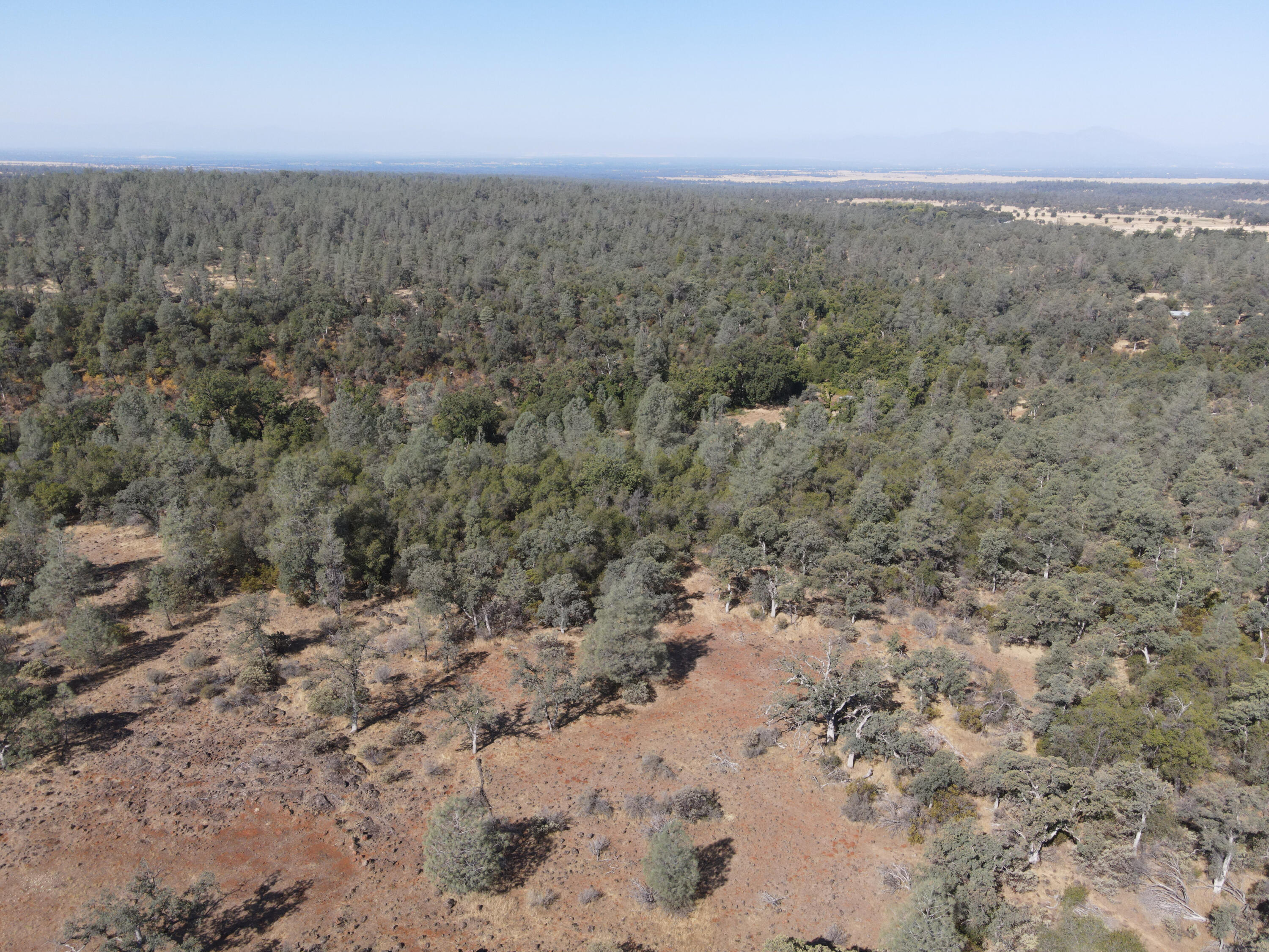 Nsa Dersch Road Shingletown, CA 96088 - Photo 26 of 56 DJI_0521_result