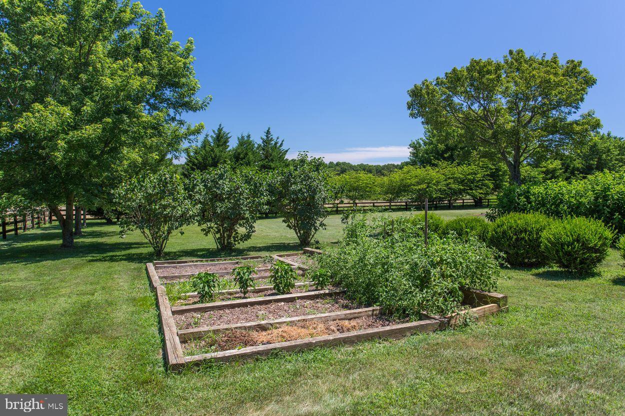 27512 Strawberry Hill Road Rhoadesville, VA 22542 - Photo 4 of 55 Gallery Image 4