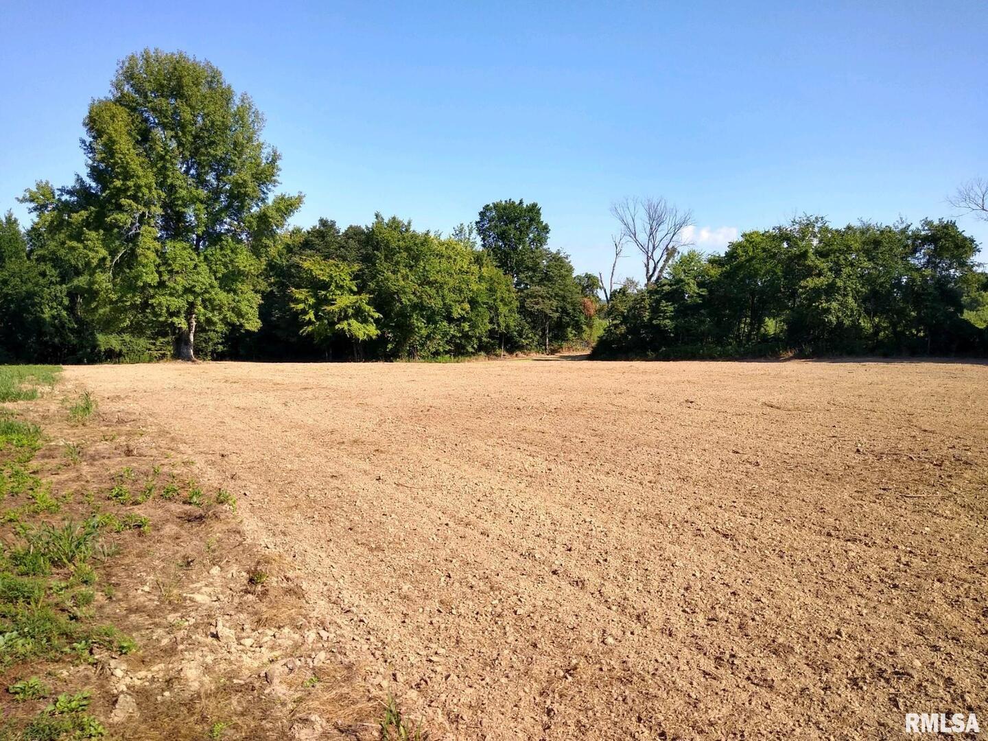 39 Bushwack Road Golconda, IL 62938 - Photo 13 of 28 a view of an outdoor space and a yard