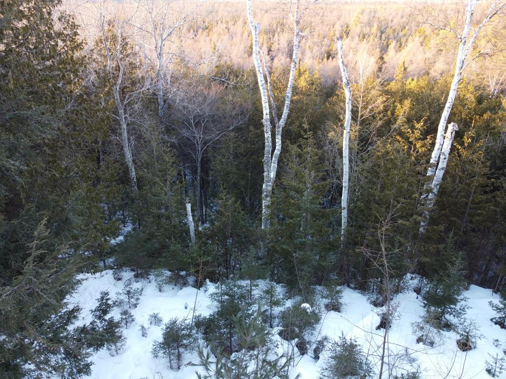 Lot 43 Gibraltar Road Fish Creek, WI 54212 - Photo 4 of 18