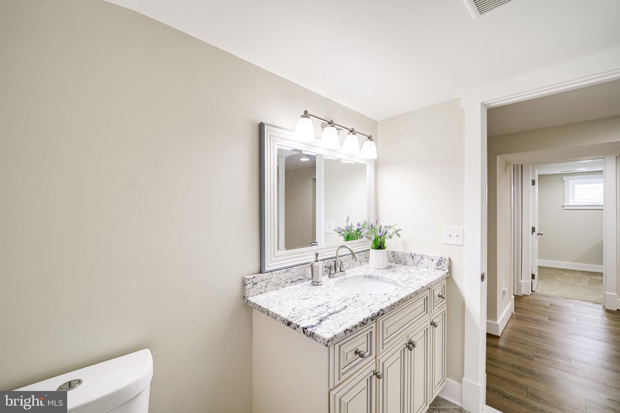 2806 Valley Drive Alexandria, VA 22302 - Photo 106 of 138 lower level bath