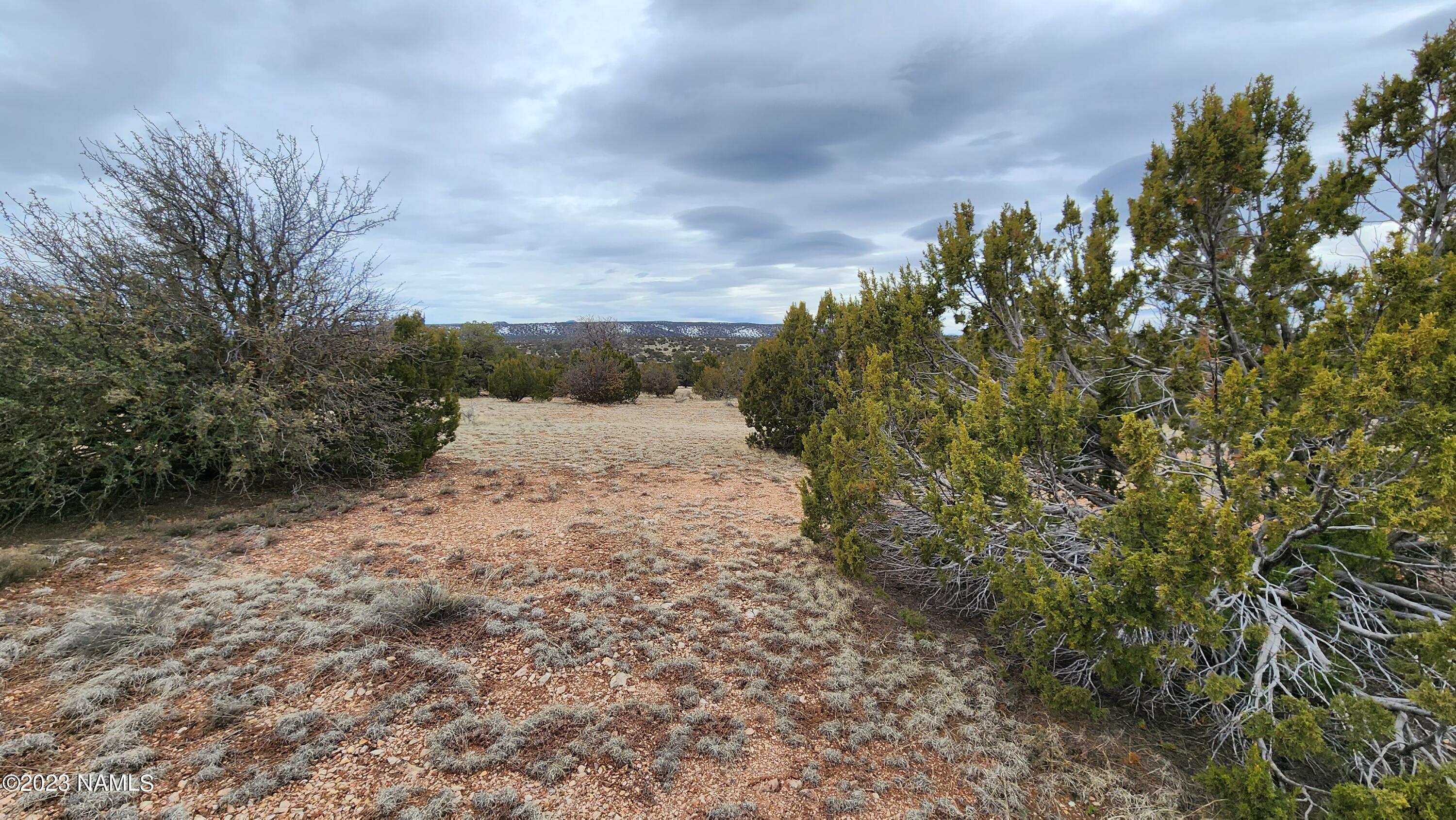 9401 Latigo Road, Unit 252 Williams, AZ 86046 - Photo 8 of 18 20230314_133359