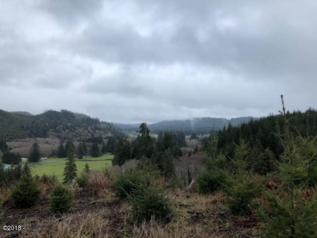 642 Fred Taylor Road Siletz, OR 97380 - Photo 12 of 21 12