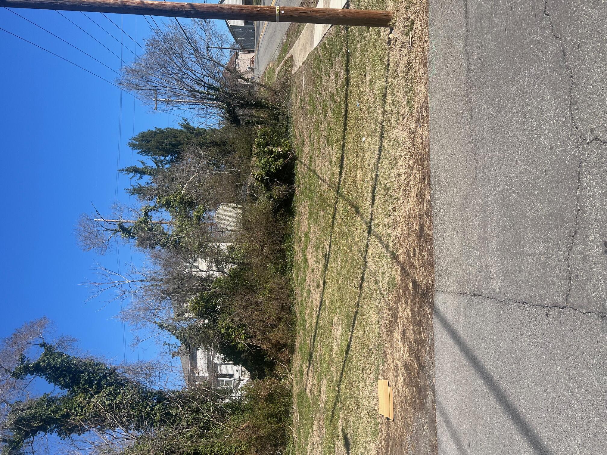 a view of a yard with a house
