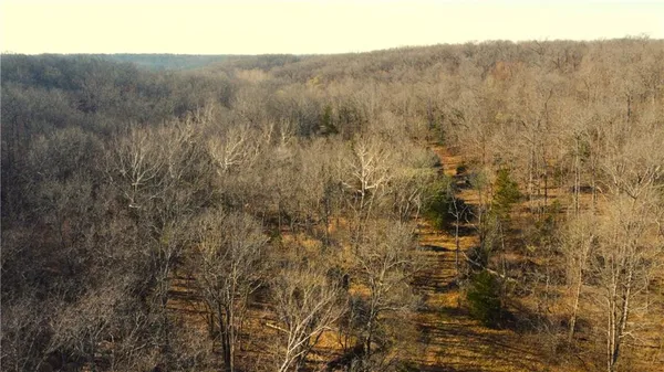 $425,000 | 82 Acres N/a Climax Springs, Climax Springs, MO 65324
