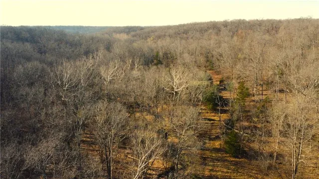 $425,000 | 82 Acres N/a Climax Springs, Climax Springs, MO 65324