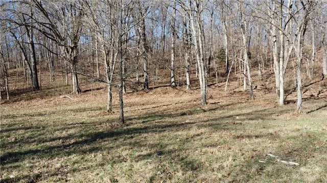 $425,000 | 82 Acres N/a Climax Springs, Climax Springs, MO 65324