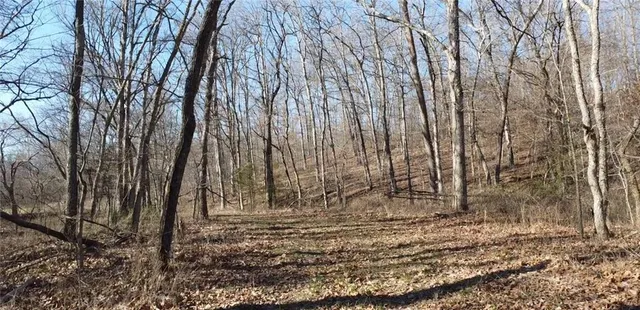 $425,000 | 82 Acres N/a Climax Springs, Climax Springs, MO 65324