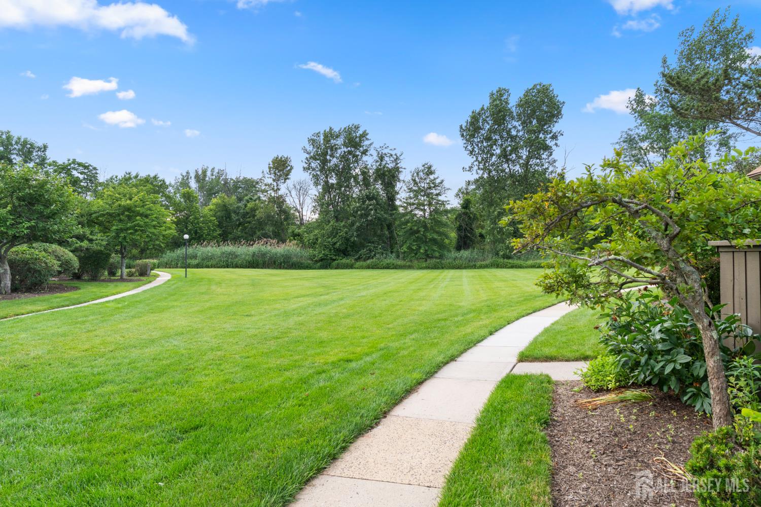 348 Westgate Drive Edison, NJ 08820 - Photo 4 of 43 a view of a garden with an outdoor space