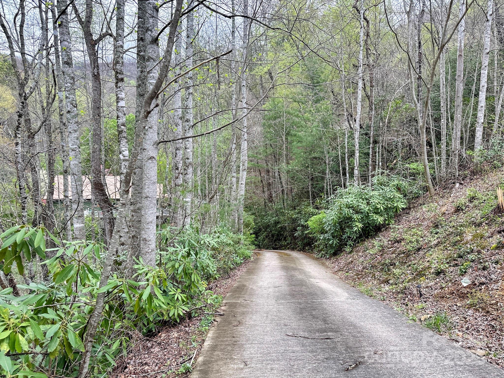 414 Hickory Cove Road Bryson City, NC 28713 - Photo 25 of 32 Gallery Image 25
