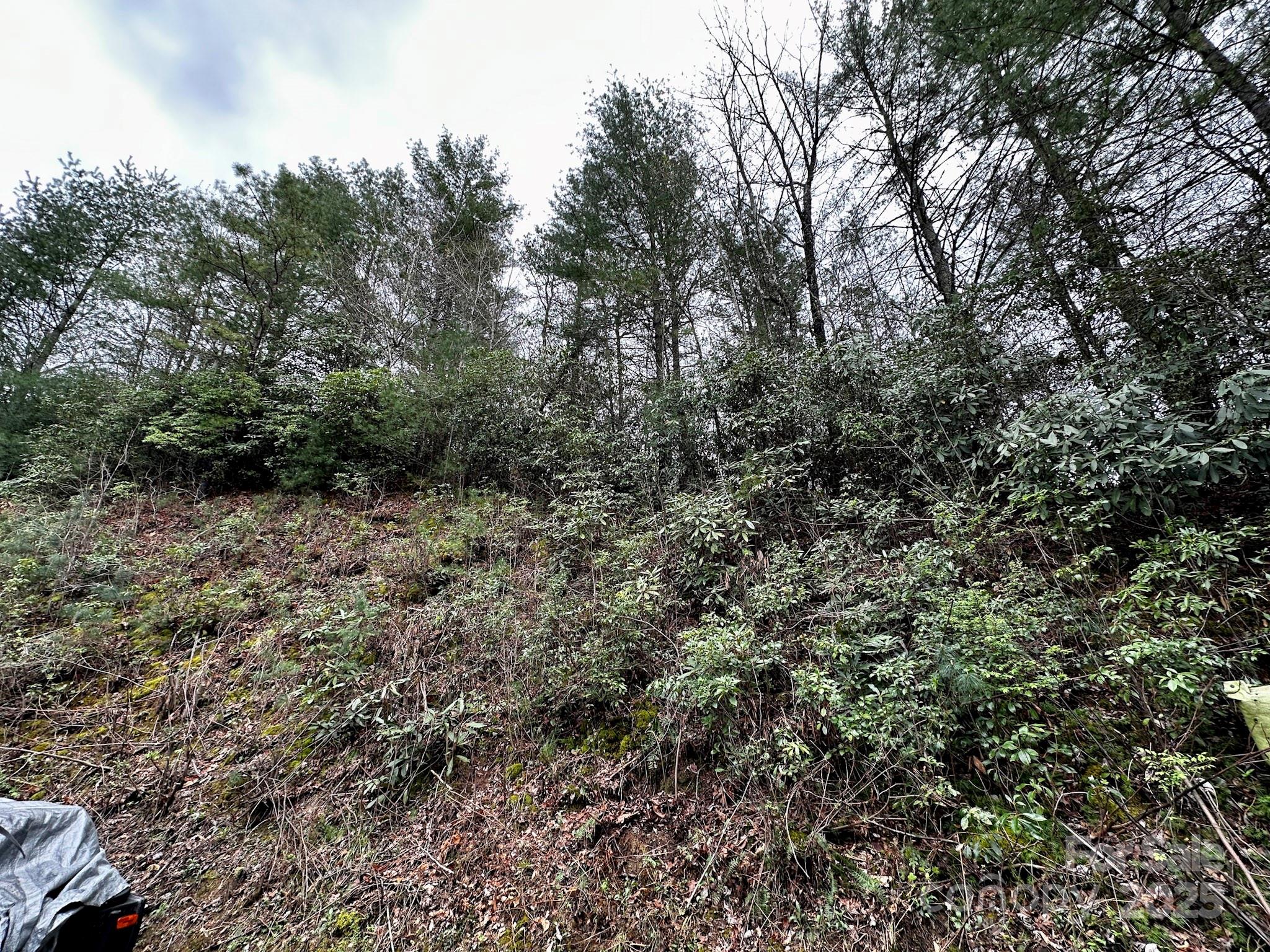 414 Hickory Cove Road Bryson City, NC 28713 - Photo 31 of 32 Gallery Image 31