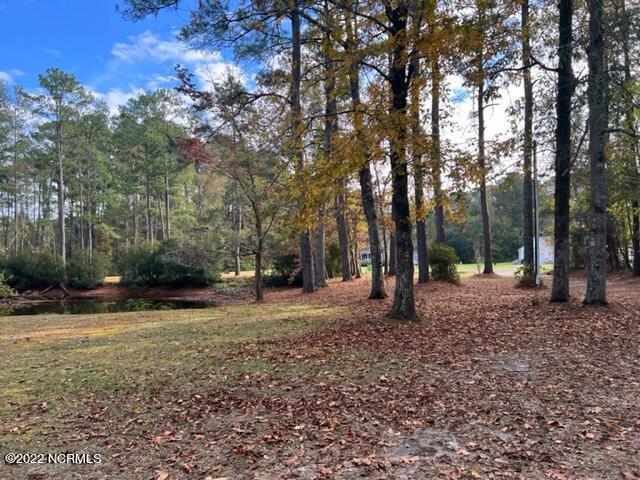1590 Alligator Loop Road Merritt, NC 28556 - Photo 13 of 13 Henries front yard