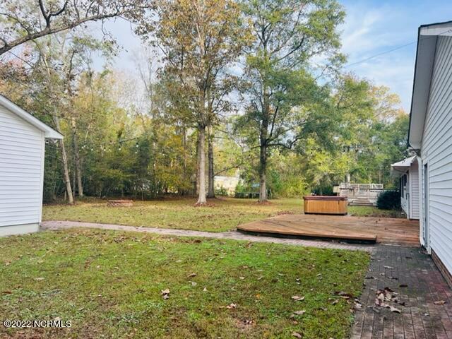 1590 Alligator Loop Road Merritt, NC 28556 - Photo 3 of 13 Henries backyard