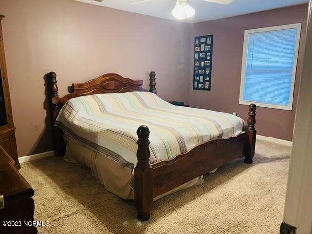 1590 Alligator Loop Road Merritt, NC 28556 - Photo 6 of 13 Henries master bedroom