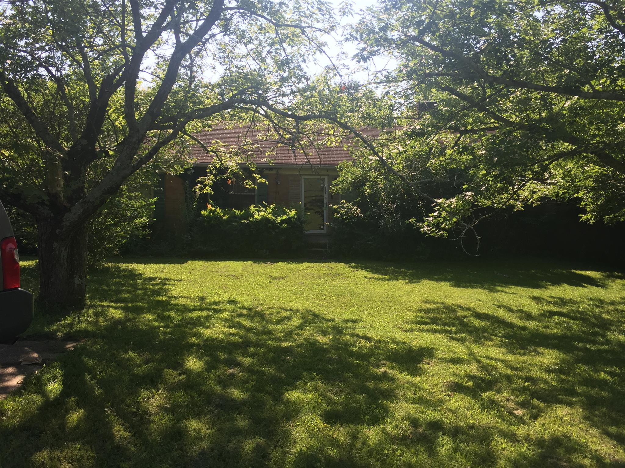 a view of yard