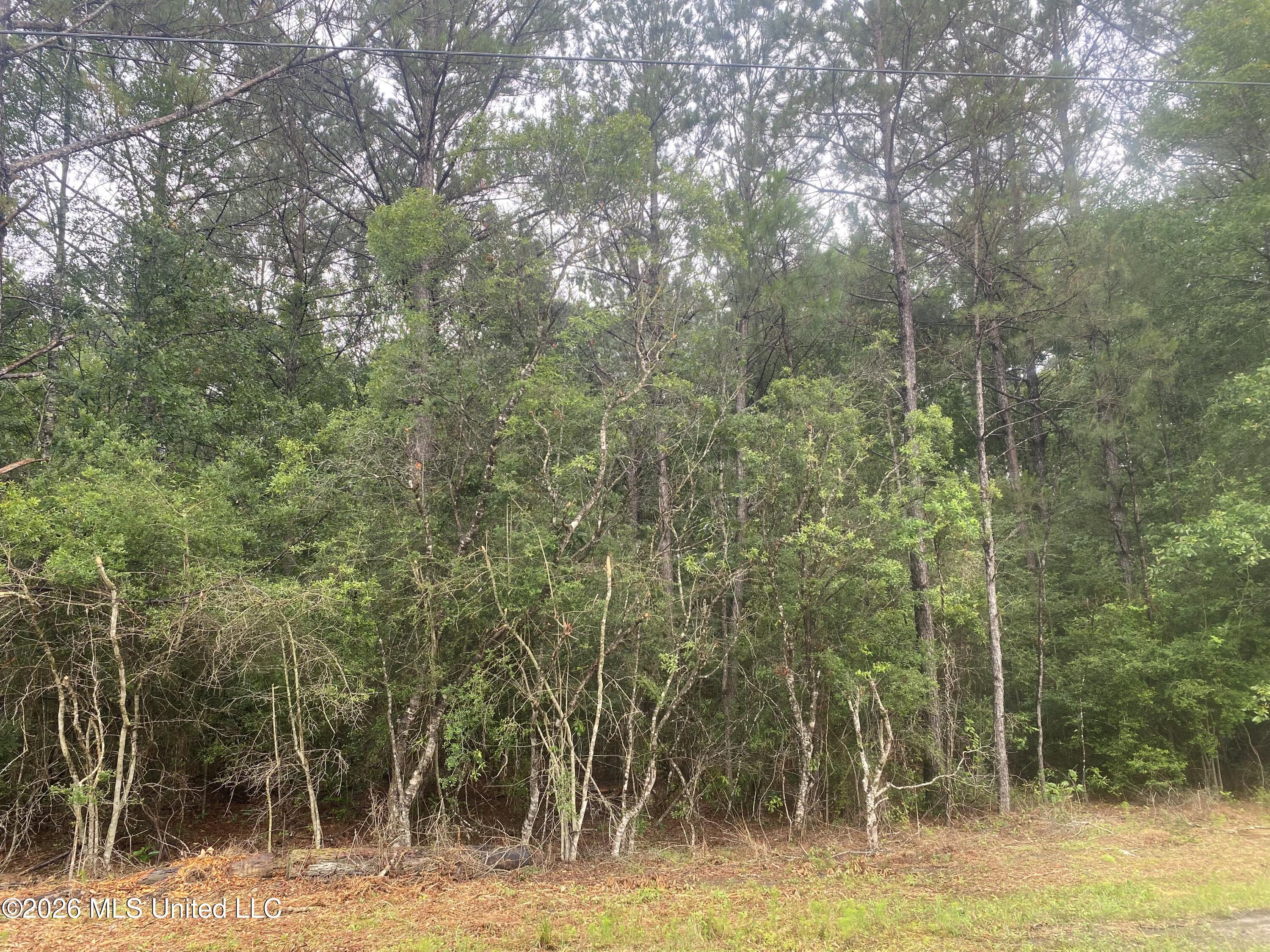 21205 South Fork Road Saucier, MS 39574 - Photo 6 of 23 IMG_9927