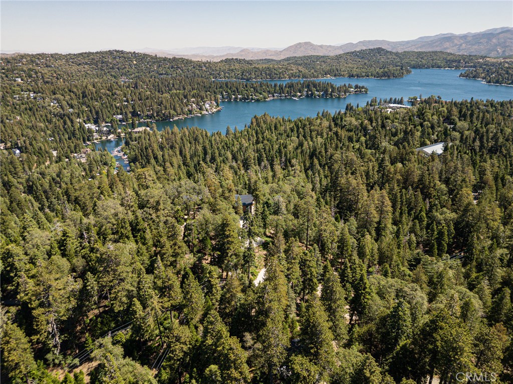 504 Millburn Road Lake Arrowhead, CA 92352 - Photo 61 of 63