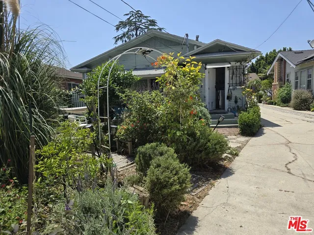 a plant that is in front of a house