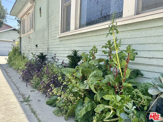 a view of a house with a garden