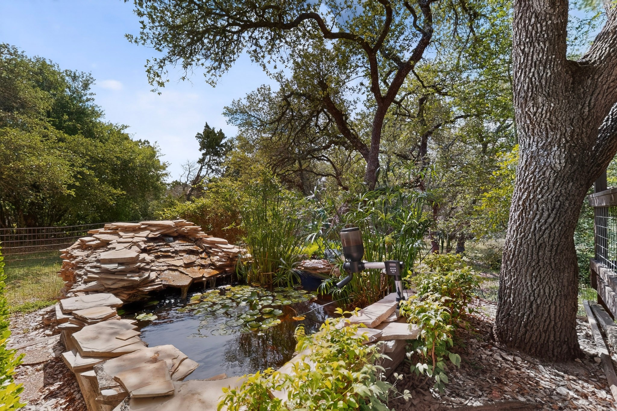 1003 Pier Branch Road Dripping Springs, TX 78620 - Photo 4 of 40 A tranquil water garden with a stone waterfall feature, nestled amidst a verdant landscape.