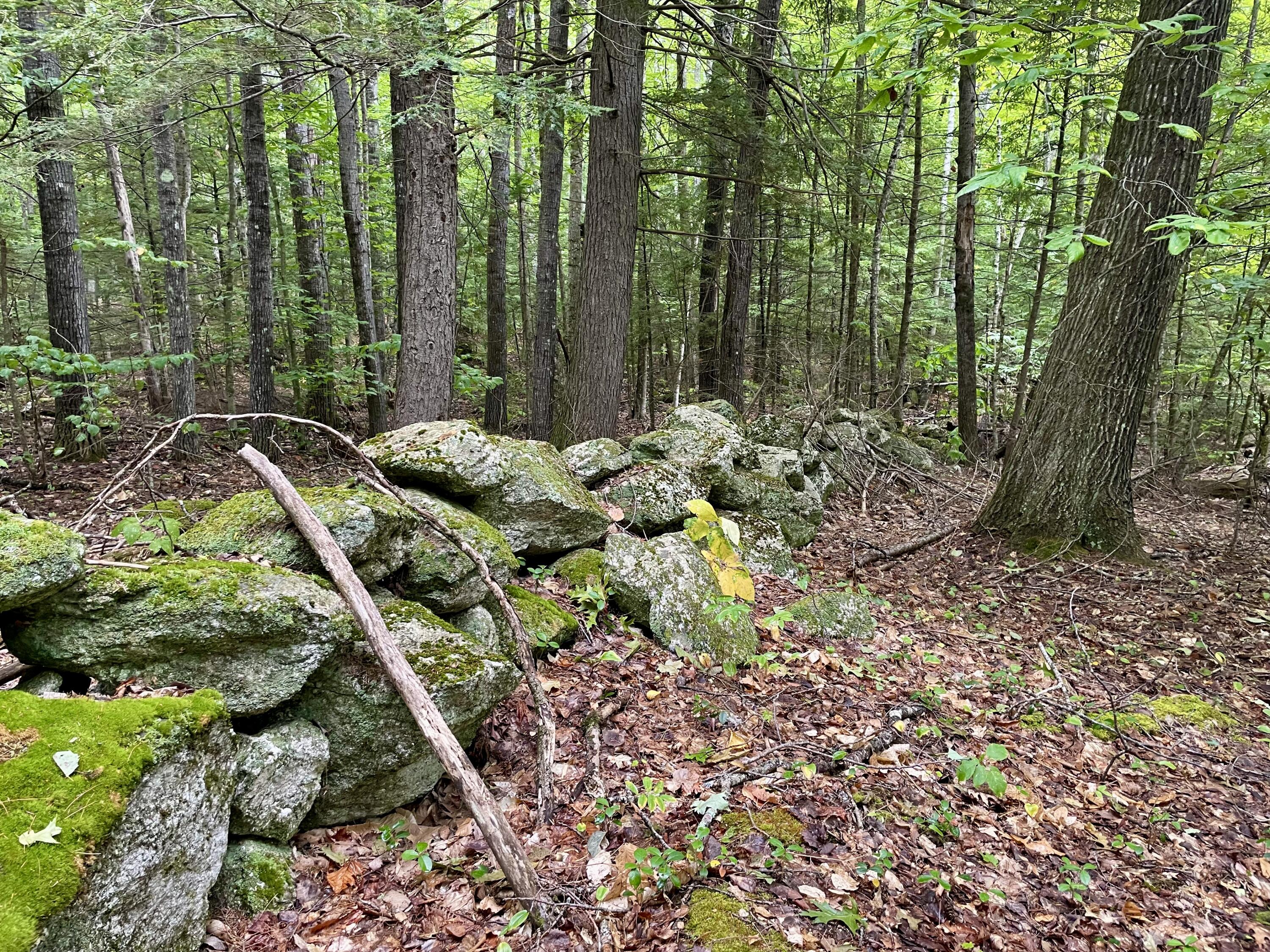 2 Cobble Hill Road South Paris, ME 04281 - Photo 44 of 46 conservation land