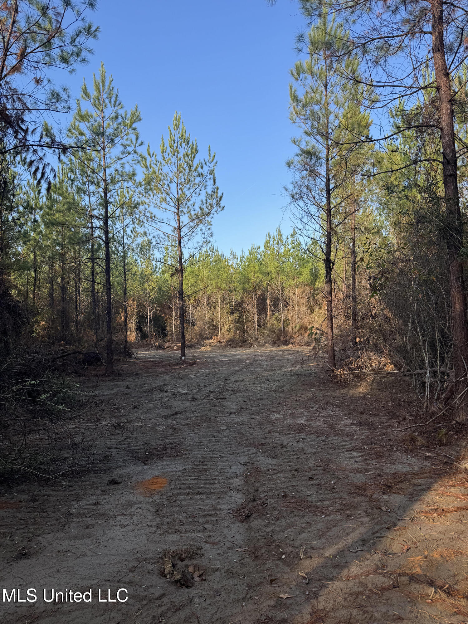 Pat Hickman Road Wiggins, MS 39577 - Photo 1 of 12 Pat Hickman Road Parcel