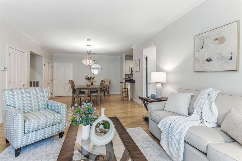 248 Albion Street, Unit 211 Wakefield, MA 01880 - Photo 11 of 24 a living room with furniture chandelier and view of kitchen
