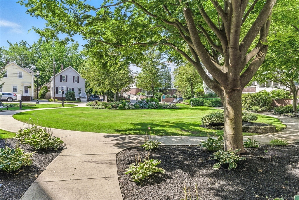 248 Albion Street, Unit 211 Wakefield, MA 01880 - Photo 20 of 24 a front view of a house with a yard
