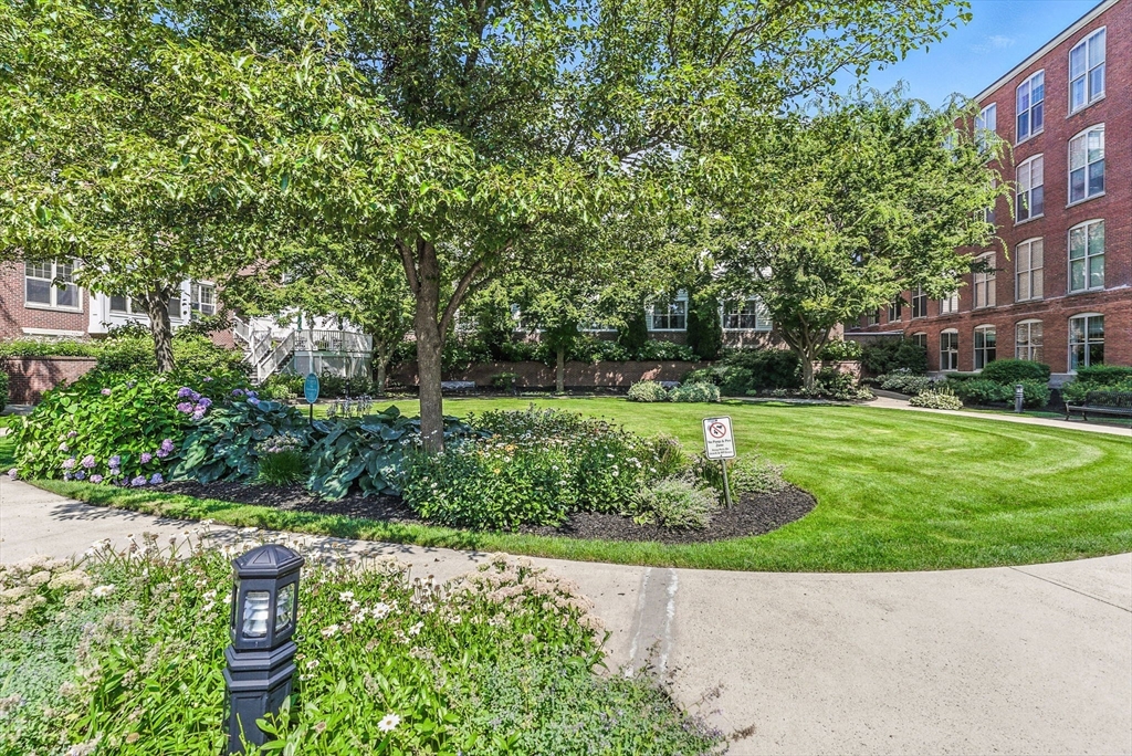 248 Albion Street, Unit 211 Wakefield, MA 01880 - Photo 21 of 24 a view of a garden with large trees