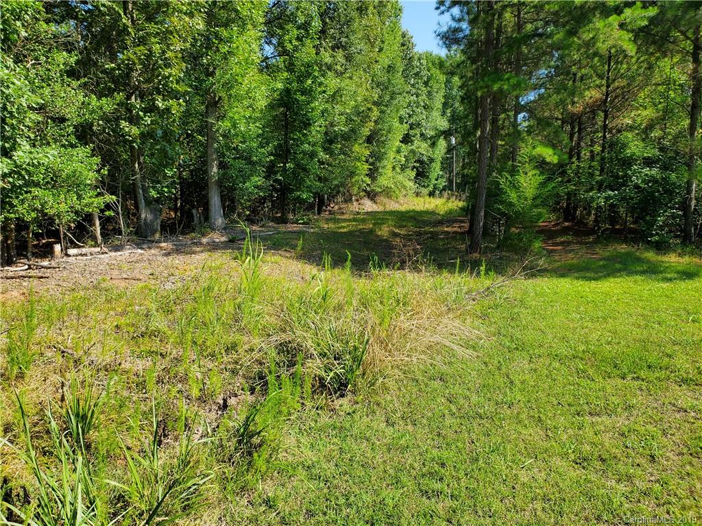 Lot B Lot B Van Wyck Road Lancaster, SC 29720 - Photo 5 of 5 Gallery Image 5