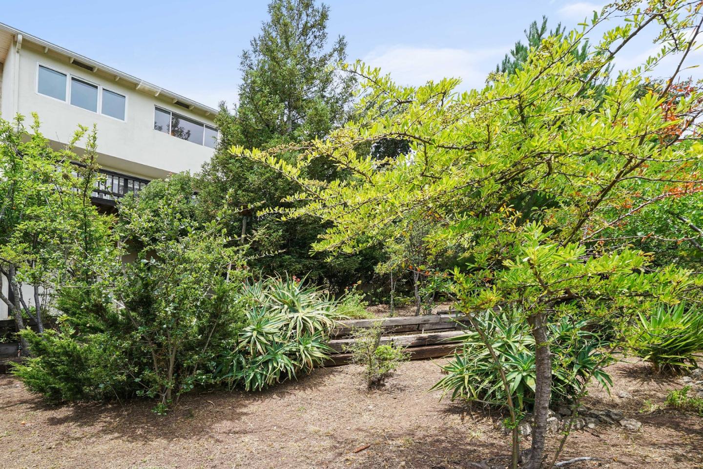 1511 Ridge Road Belmont, CA 94002 - Photo 49 of 50 a backyard of a house with lots of green space