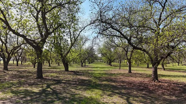 $355,000 | 0 Pecan Lane, Newcastle, TX 76372
