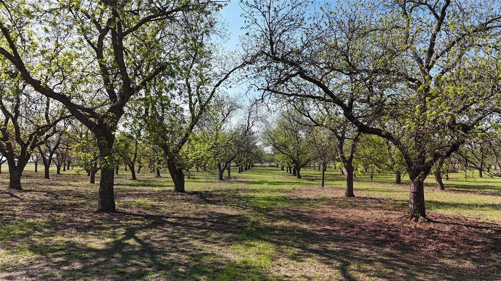 0 Pecan Lane Newcastle, TX 76372 - Photo 1 of 29 a view of outdoor space with trees