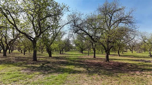 $355,000 | 0 Pecan Lane, Newcastle, TX 76372
